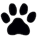 Rob Park logo