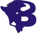 Bison Fire Protection logo