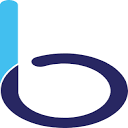 Bizzmine logo