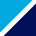 Bluefin Payment Systems logo