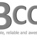 Brunswick Computing Consulting logo