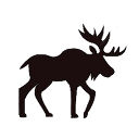 digitalcariboo logo