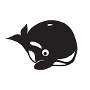 HeyOrca! logo