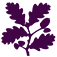 National Trust Jobs logo