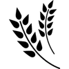 Prairie Film Co. logo