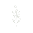 September Marketing logo