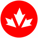 Syndesus, Inc. logo
