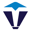TechVest Global Solutions Inc. logo