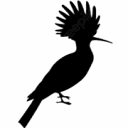 TAFU - Nature Conservation Organisation logo