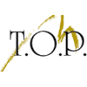 Top Marketing logo