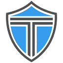 Triden Group logo