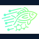 ZebraMed logo